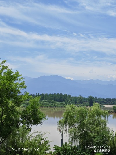 西安莲湖区股份有限公司注册条件