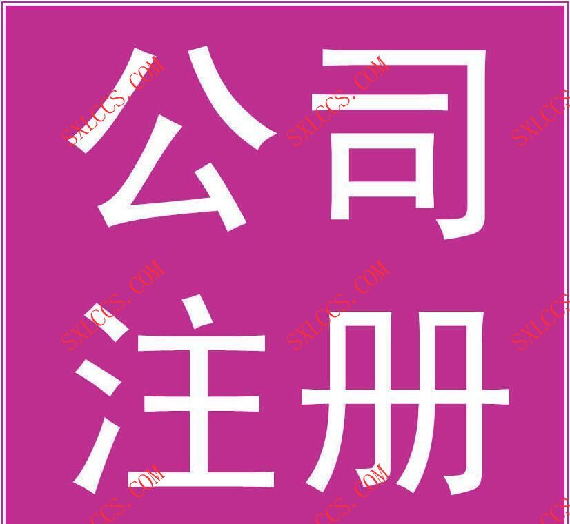 西安莲湖区股份有限公司代办流程是什么